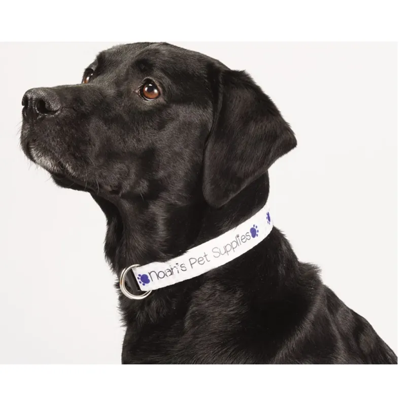 Bullet Custom Full Color 1" Wide Adjustable Pet Collar